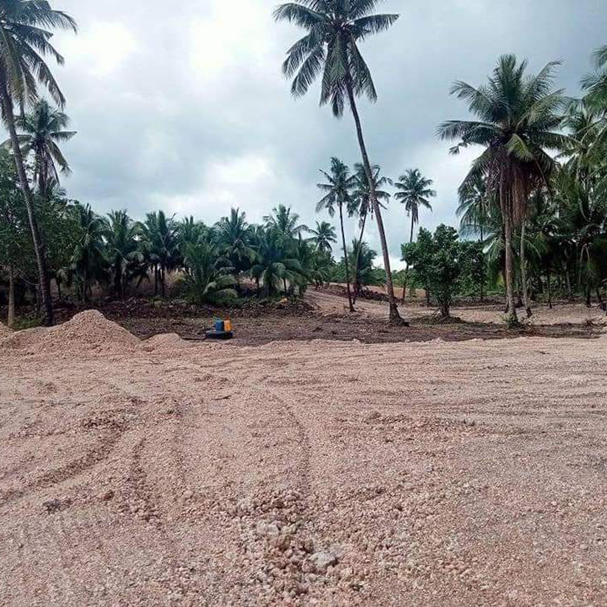 Newly open beach lot in Kinawahan San Remegio Cebu [Beach Property 🏖️