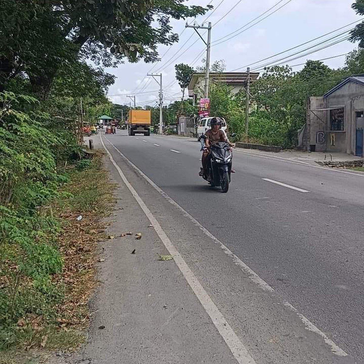 House and lot [House and Lot 🏘️] (January 2023) in Villasis, Pangasinan