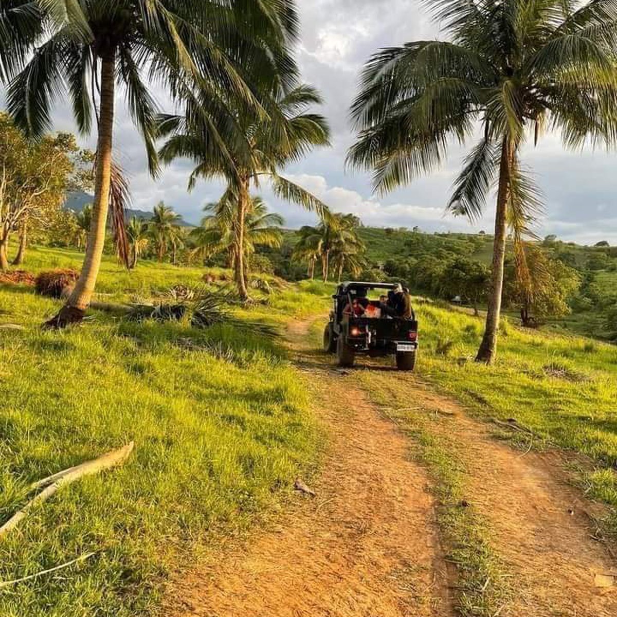 1000 sqm Residential Farm For Sale in Bagac Bataan [Lot 🚜] (August 2024