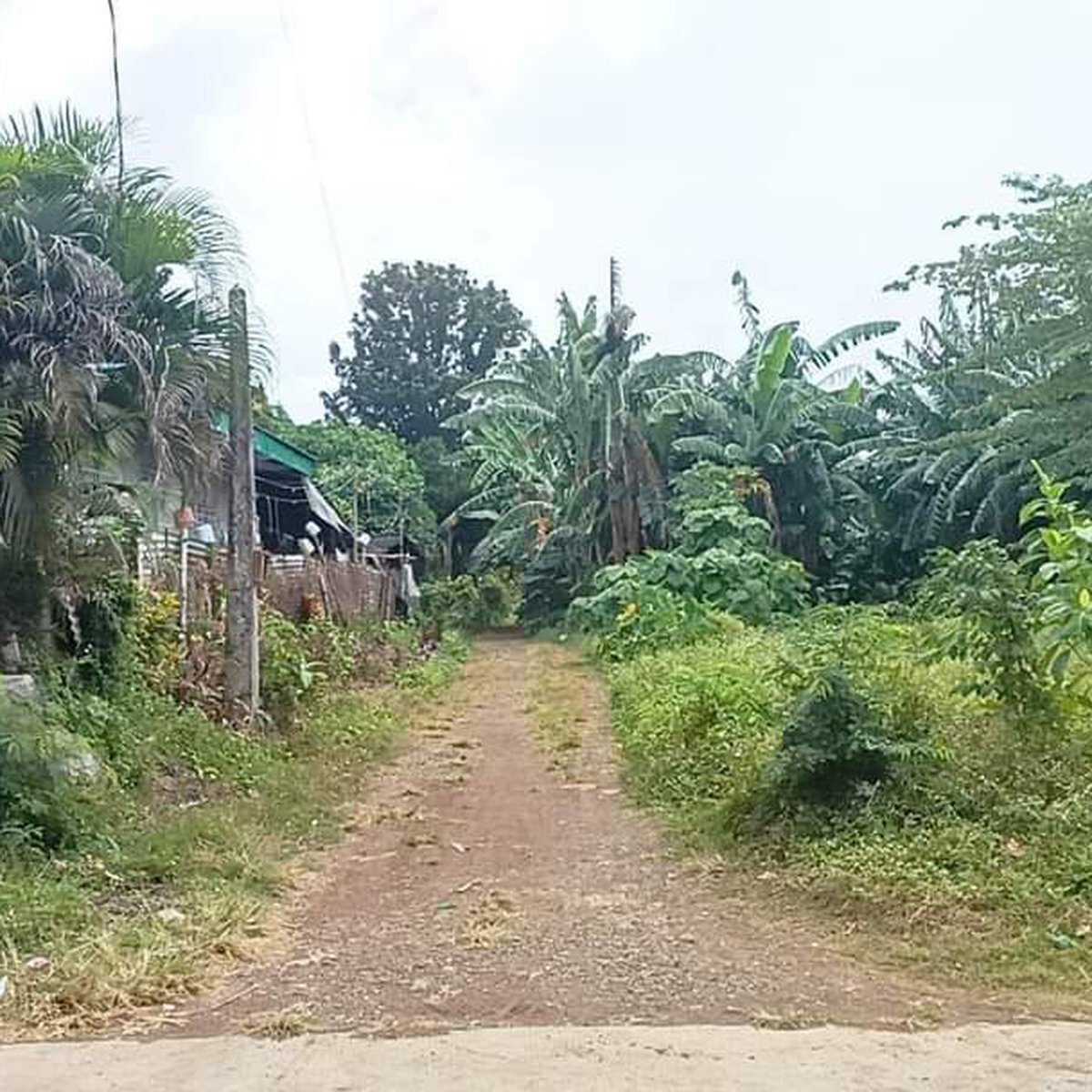 60 sqm Residential Lot For Sale in Santa Maria Bulacan [Lot 🚜] (October