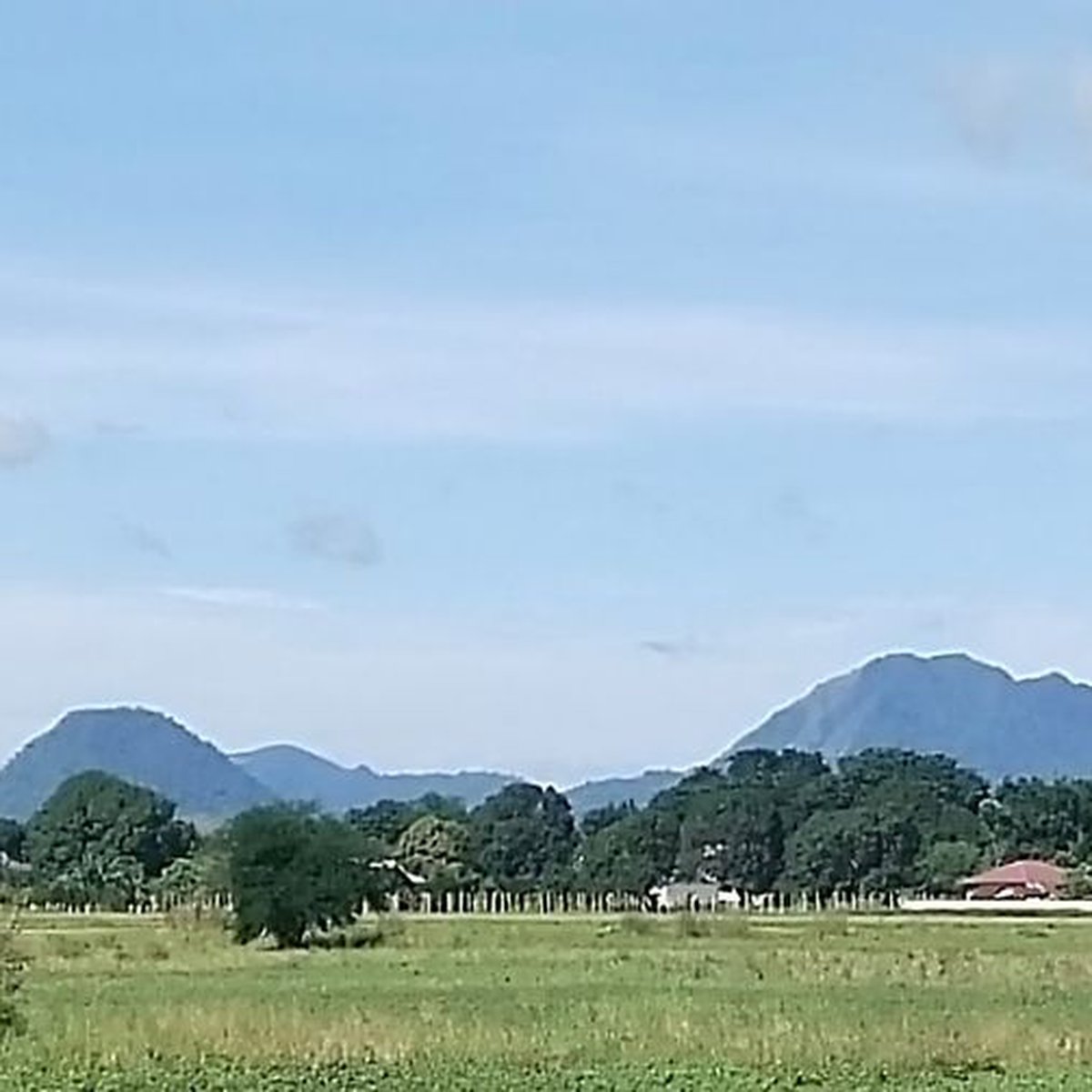 Selling Property at Lubao Pampanga Farm Lot [Lot 🚜] (February 2024) in