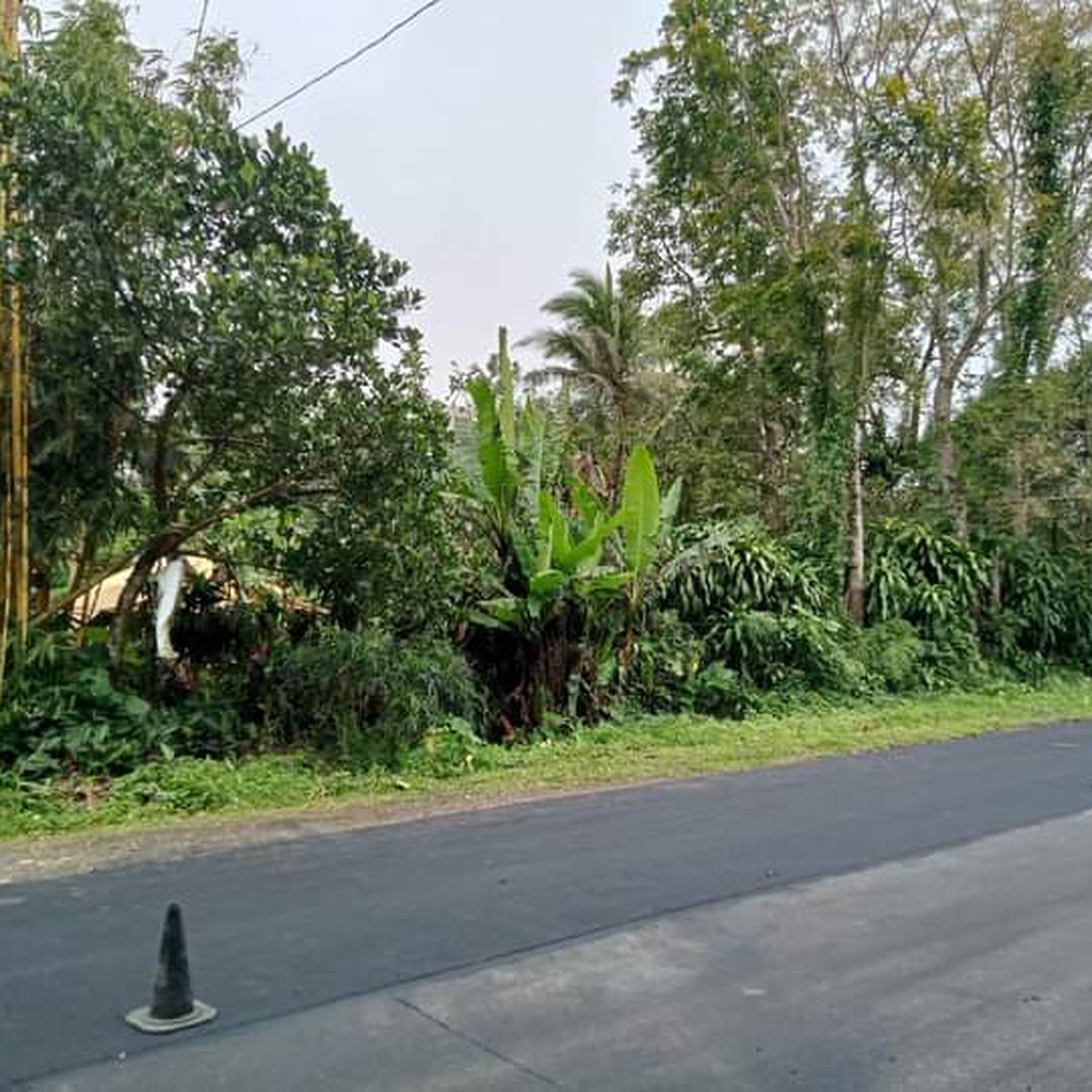 923 sqm Industrial Lot For Sale in Lucban Quezon [Lots 🚜] (June 2023) in Lucban, Quezon for sale
