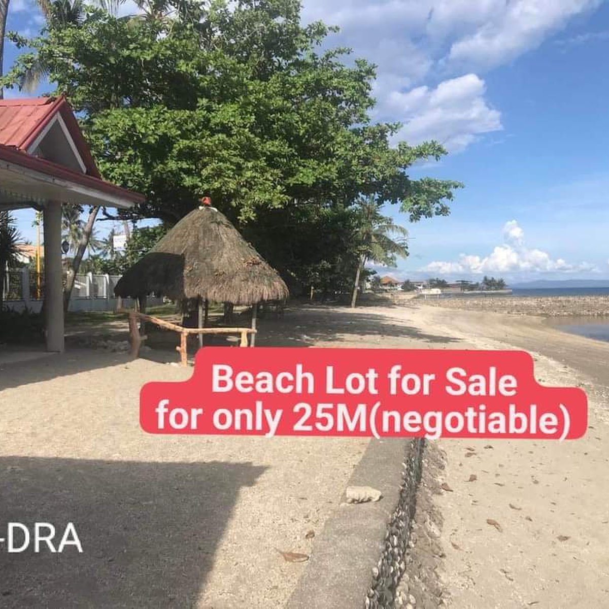 600 sqm Beach Property For Sale in Argao Cebu [Beach Property 🏖️