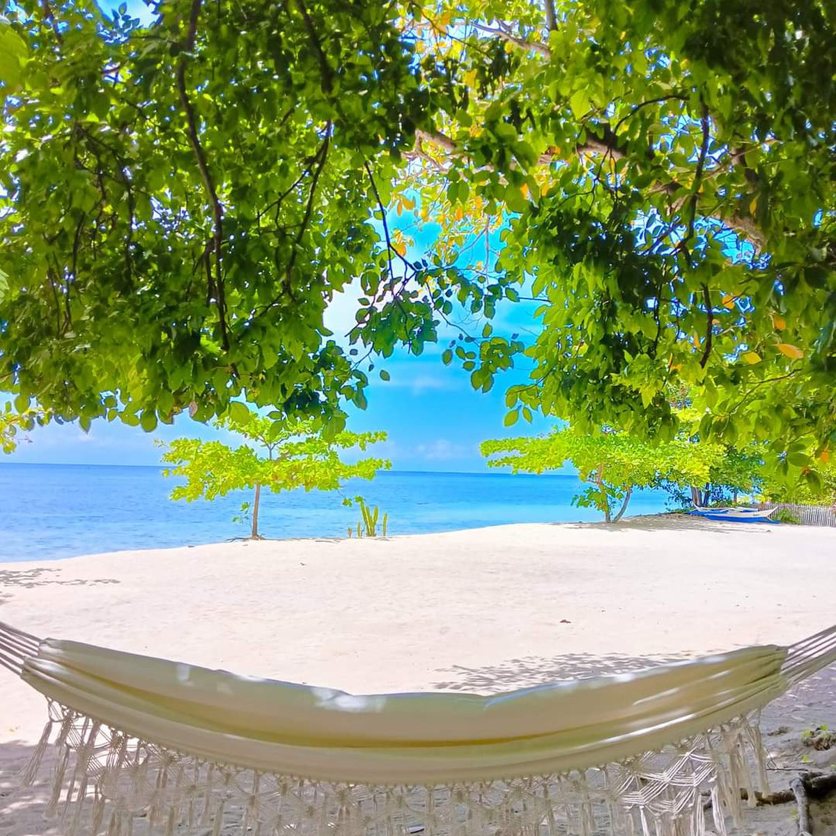 2.7 hectares Castillo Claveria Island & 9hectares Dampalit Island