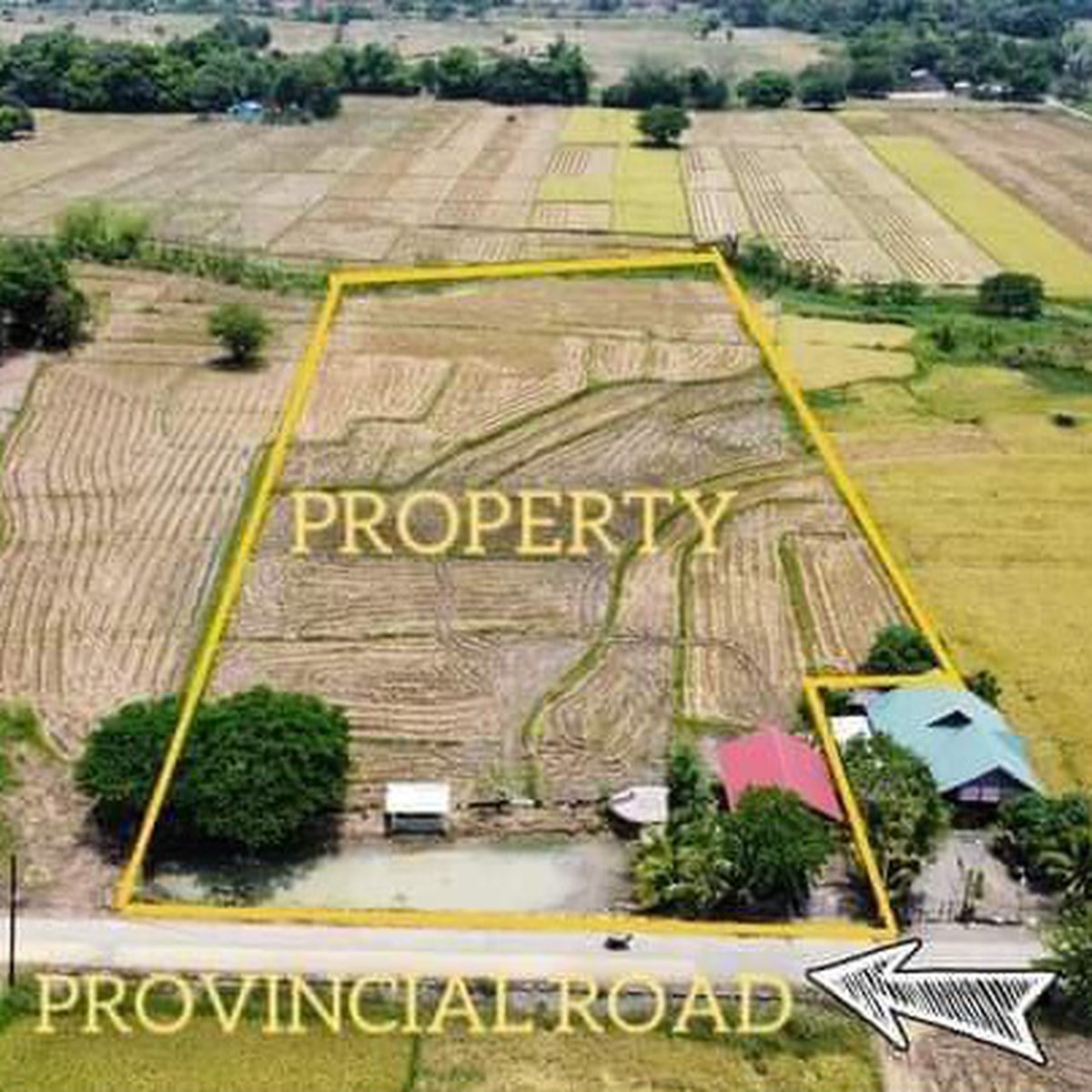 13000 sqm Residential Farm For Sale in Munoz Nueva Ecija [Lot 🚜] (July