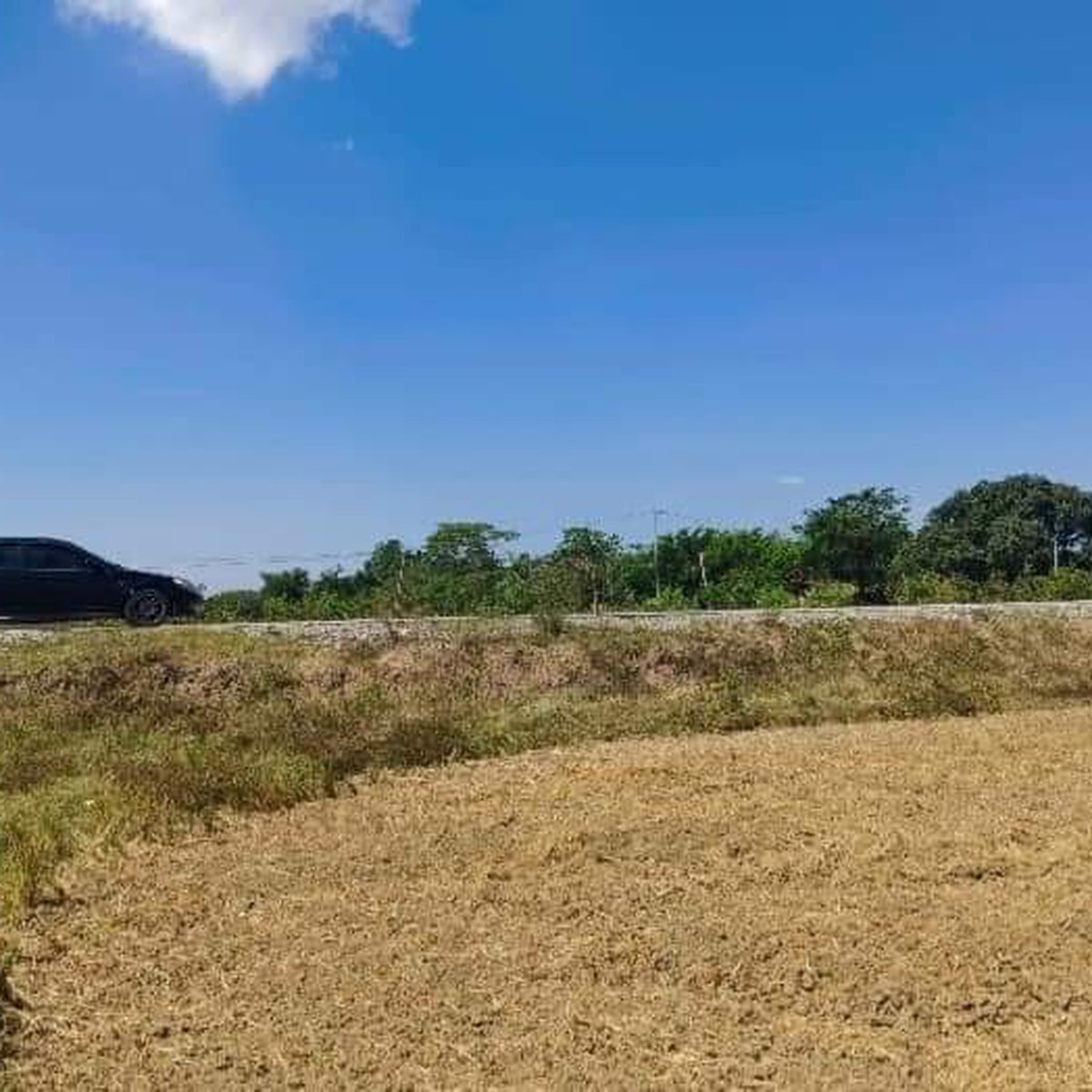 1200sqm Residential Lot For Sale in Balungao Pangasinan [Lot 🚜