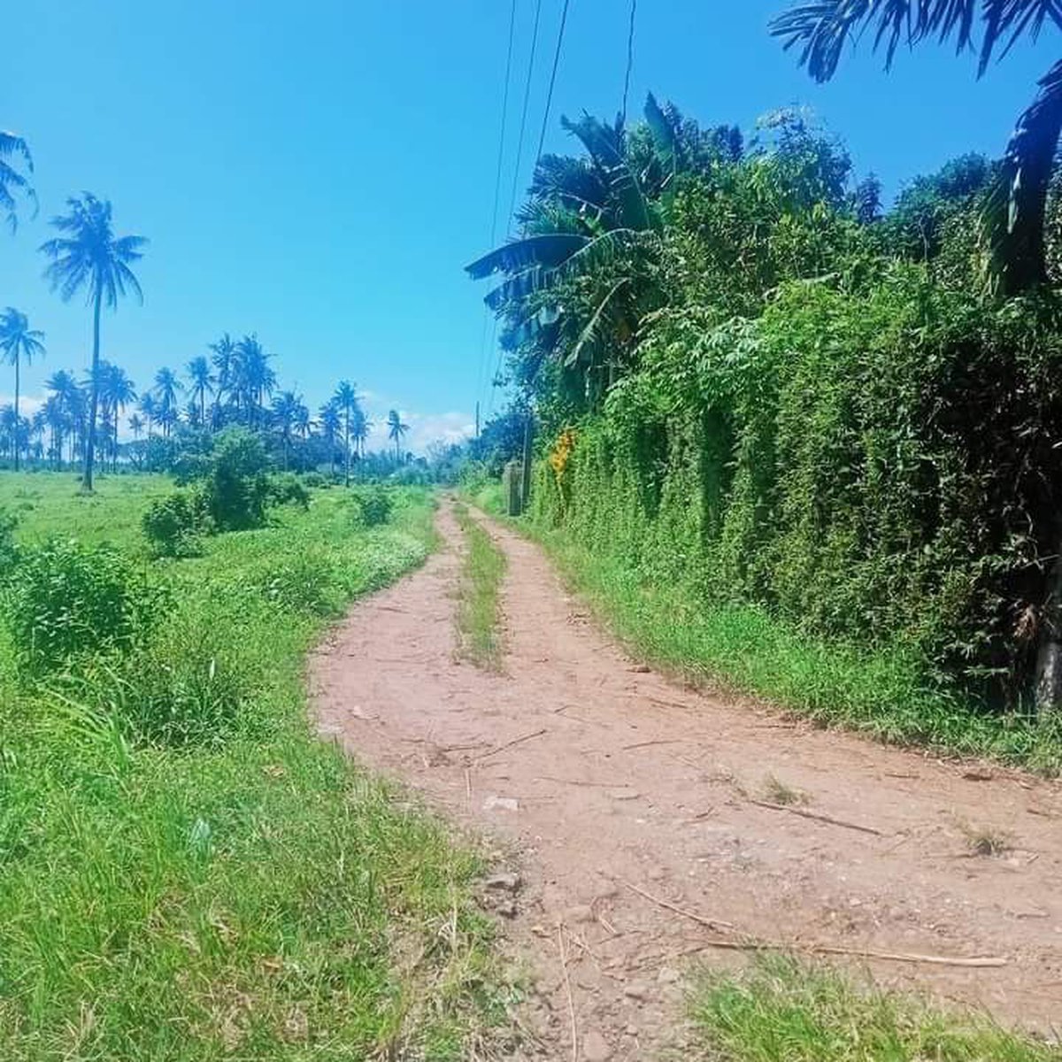 400 sqm Residential Lot For Sale in Naga Camarines Sur [Lot 🚜] (September 2024) in Naga