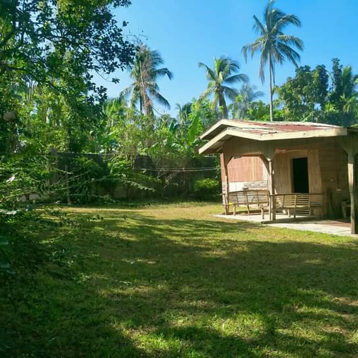 Magallanes Cavite Farmlot with house with garage. [Lot 🚜] (July 2023