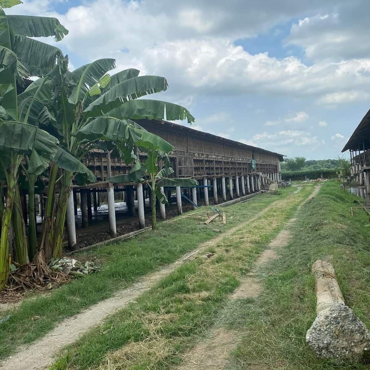 1.8 hectares Layering Farm For Sale in Arayat Pampanga [Lot 🚜] (May