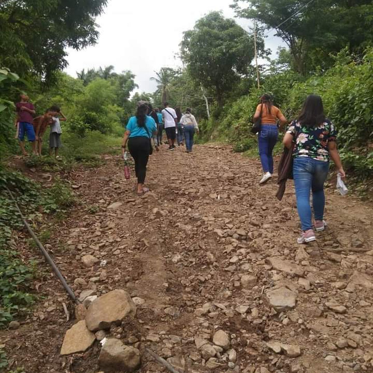 Farm Lot in Brgy Malaya Pililla Rizal [Lot 🚜] (November 2023) in