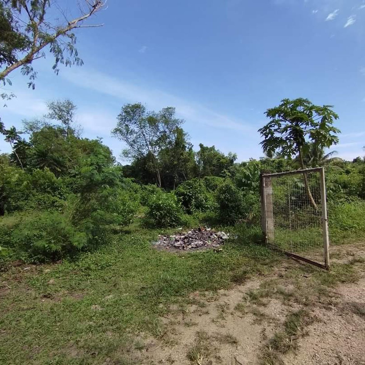 2200 sqm Residential Lot For Sale in Mayacabac Dauis Bohol [Lot 🚜 ...