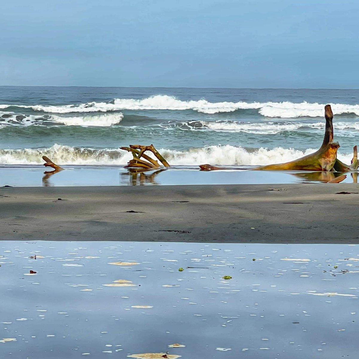 BEACH LOT IN ILOCOS SUR [Beach Property 🏖️] (July 2024) in Tagudin