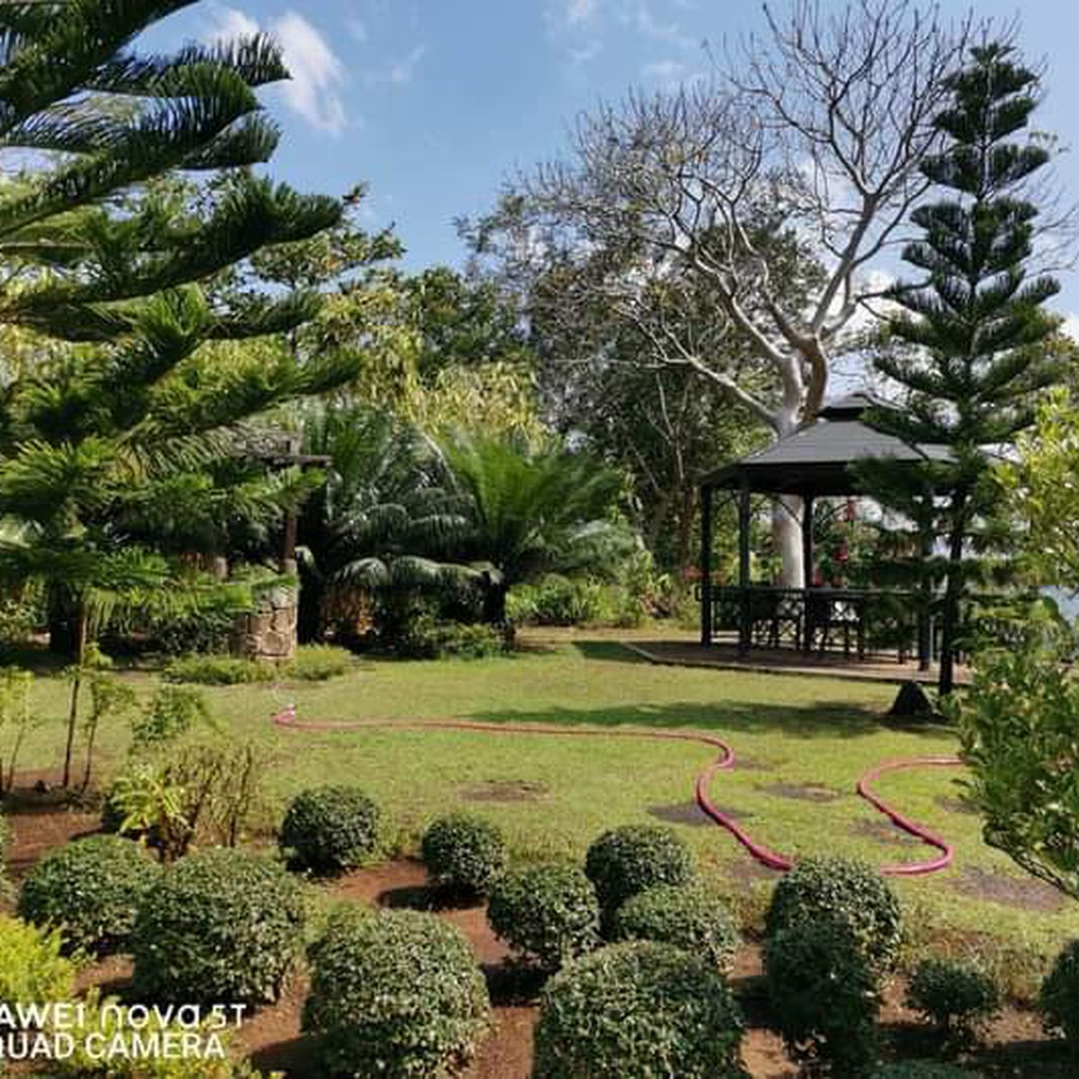 Titled, developed farm lots at lakeview farms morong rizal [Lot 🚜