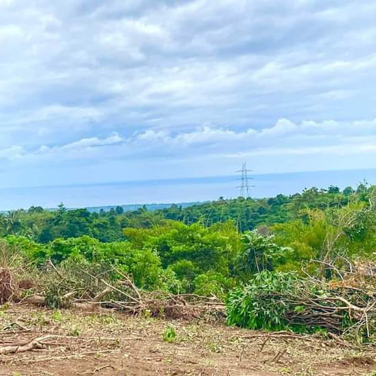 300 sqm Agricultural Farm For Sale in Davao City Davao del Sur [Lot 🚜] (September 2024) in Davao