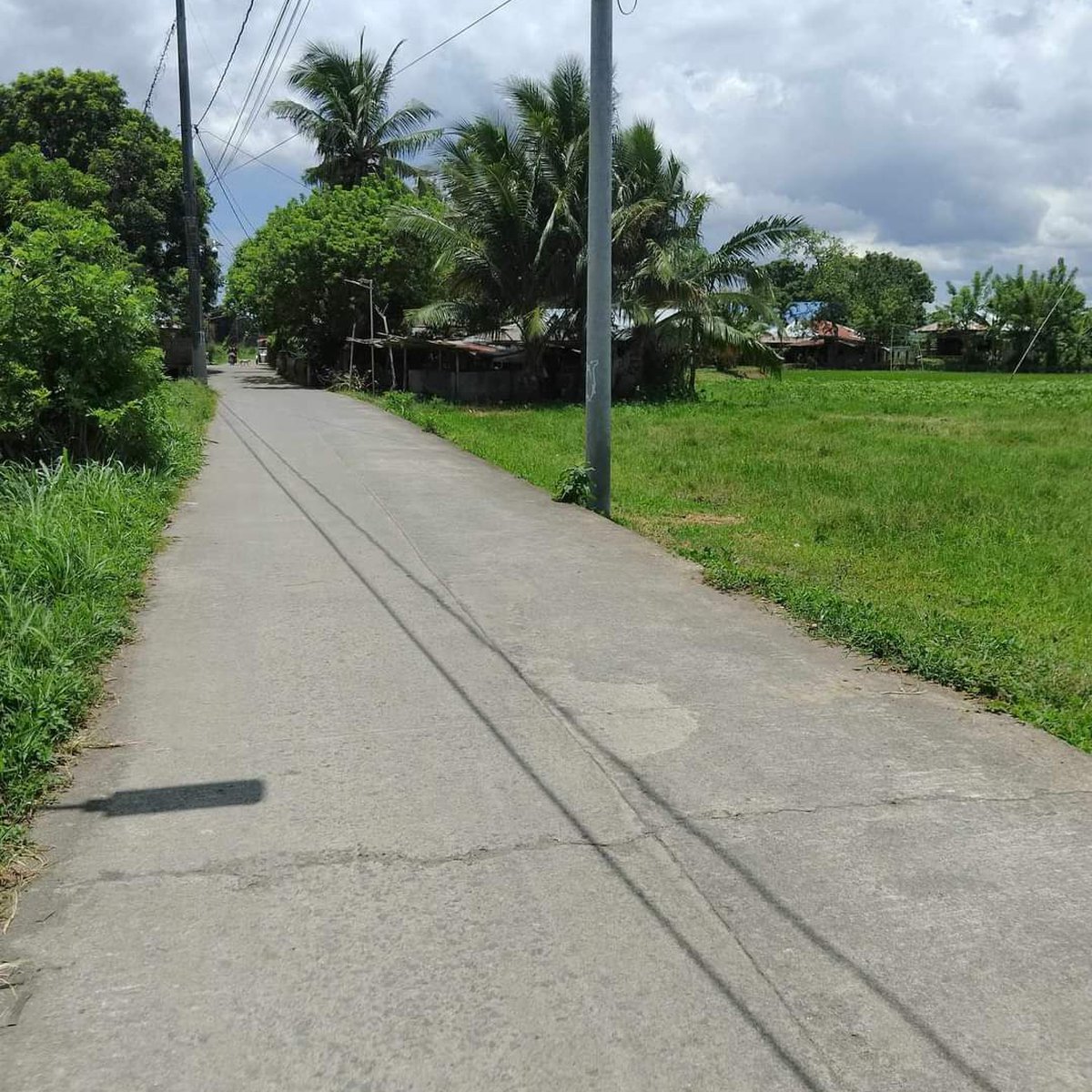 1.02 hectares Residential Farm For Sale in Tiaong Quezon [Lot 🚜