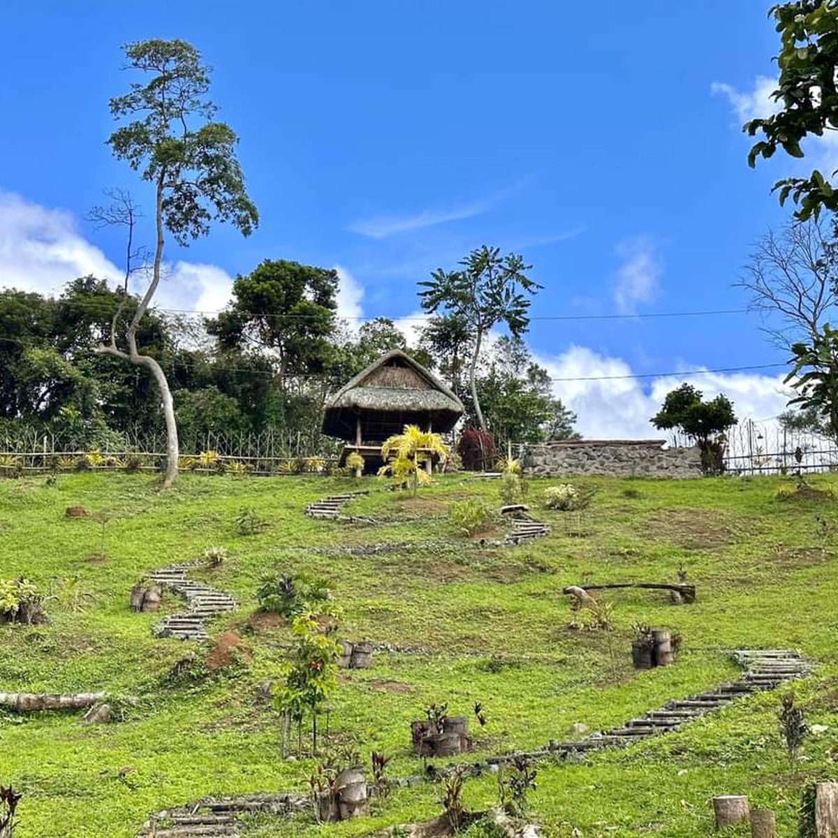 8,394 sqm Residential Farm For Sale in Cavinti Laguna [Lot 🚜