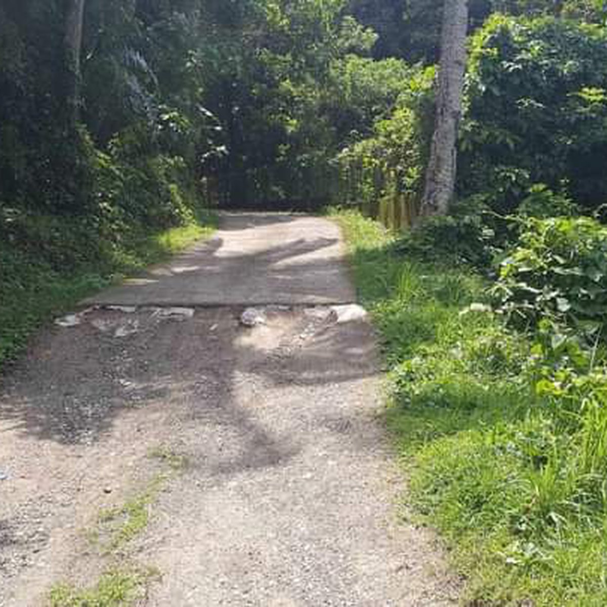 Mini Farm [Lot 🚜] (April 2024) in Cuenca, Batangas for sale