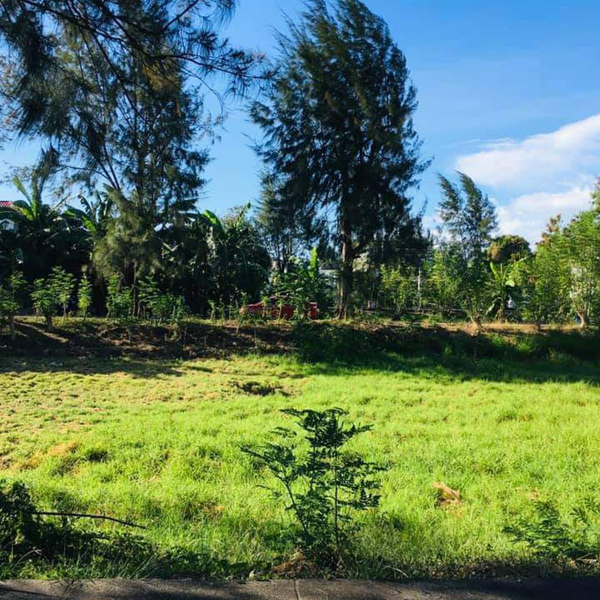 Lot for sale Golden Meadows Binan Laguna [Lot 🚜] (October 2021) in