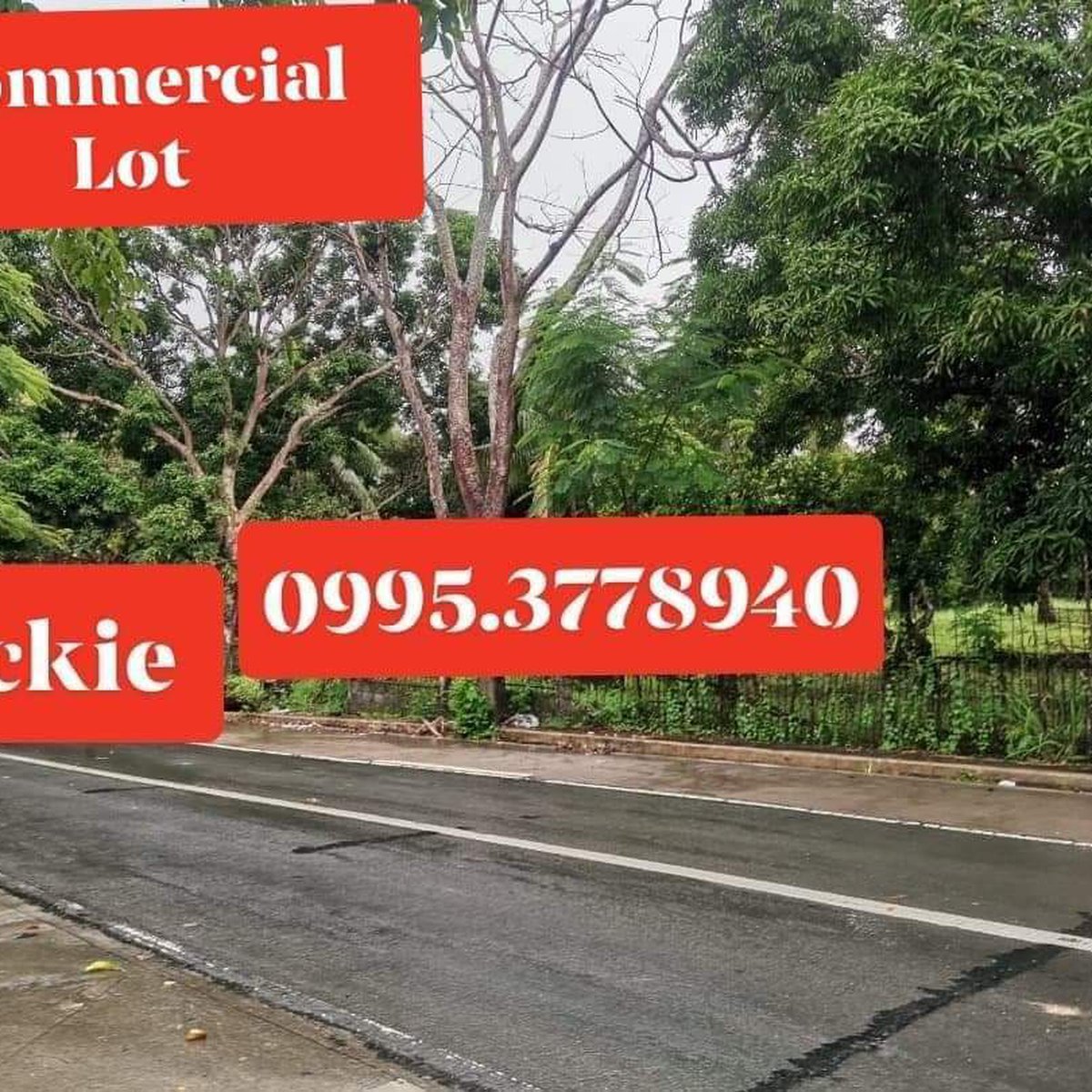 Commercial & Residential Lot Tanay Rizal Property 🏭