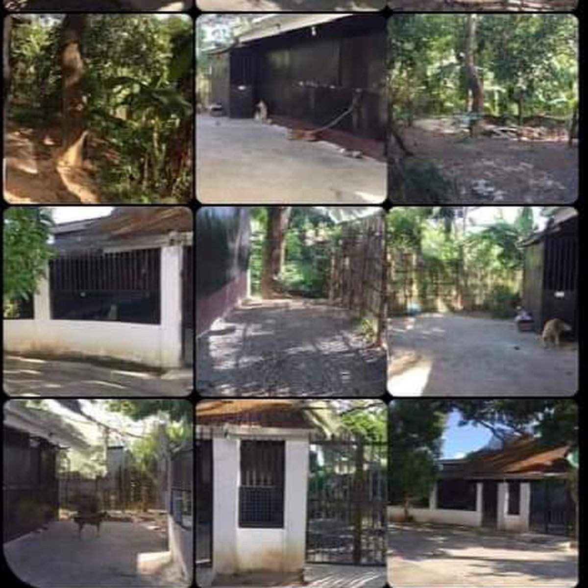 2-corner-lot-inside-subdivision-with-house-semi-concrete-house-and-lot