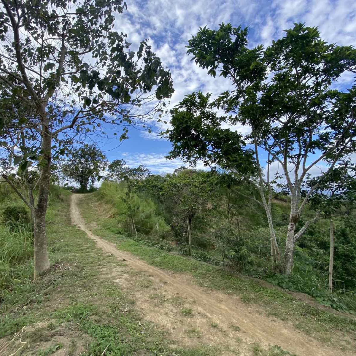 Agricultural Farm For Sale in Tanay Rizal P400 per sqm [Lot 🚜] (May