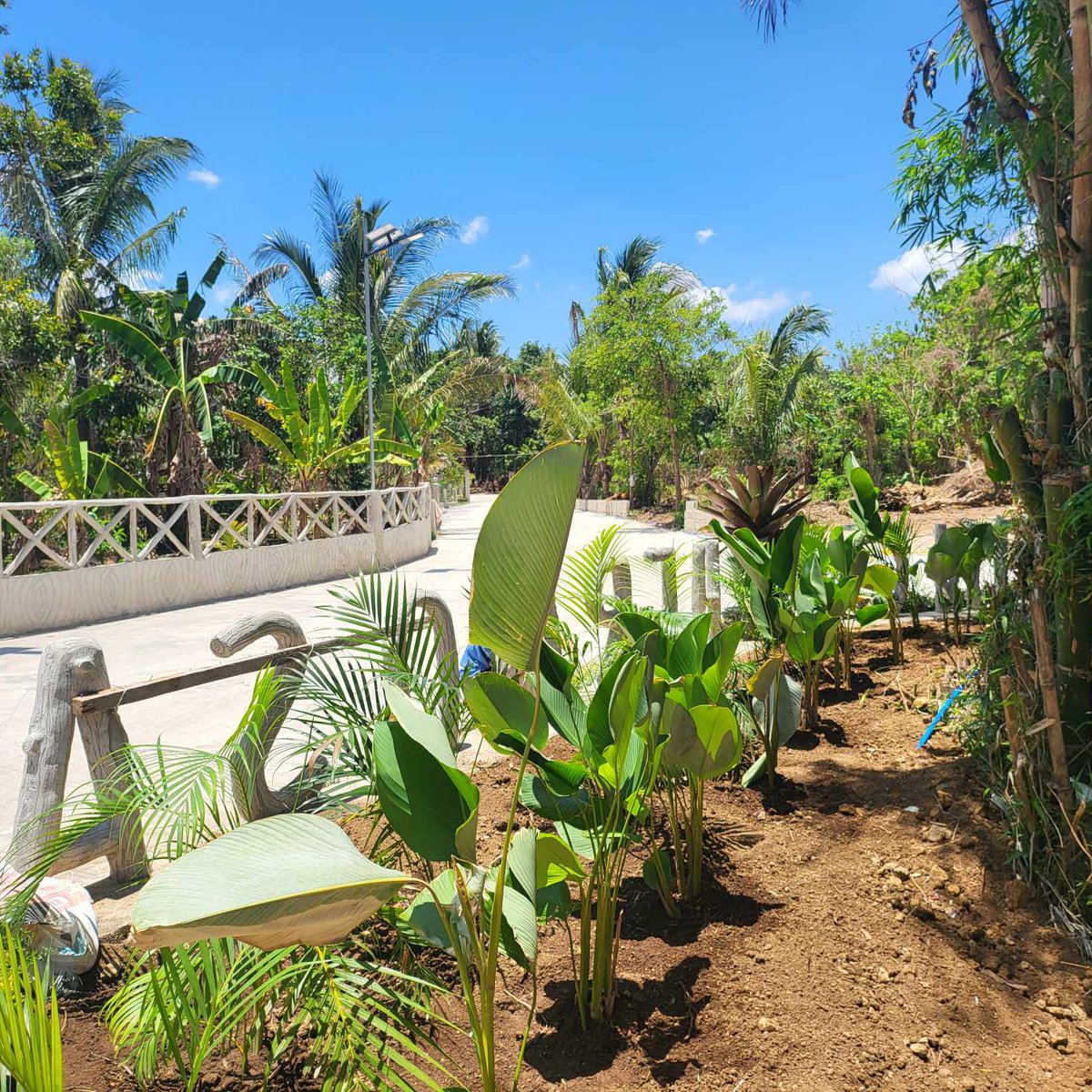 Farm Lot Cavite near Twin lakes for sale [Lot 🚜] (July 2024) in Amadeo