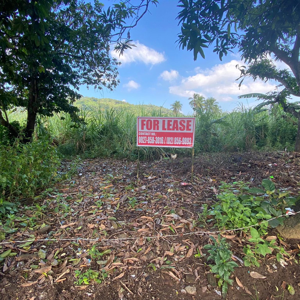 FOR LEASE 7K SQM FOR ONLY 25PHP/SQM/MONTH MINIMUM OF 1 YEAR CONTRACT