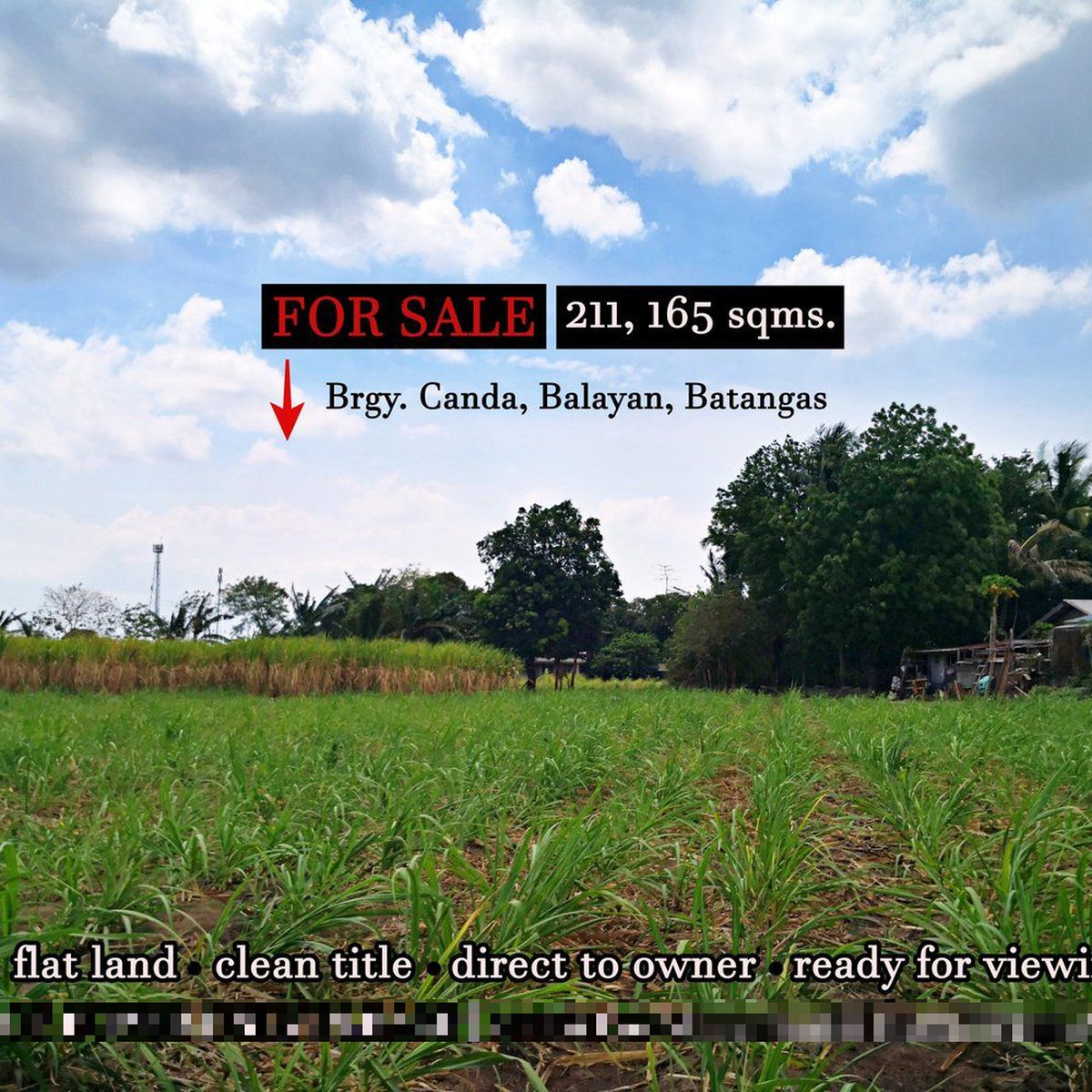 21 hectares Land For Sale in Balayan Batangas CLEAN TITLE Negotiable ...