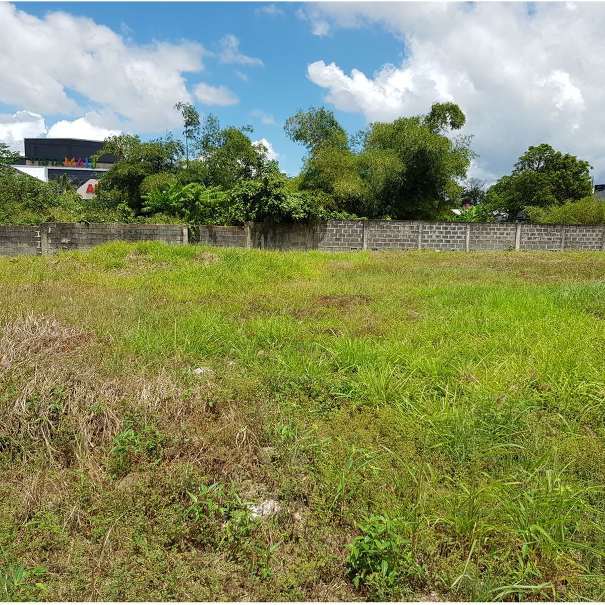 408 sqm Residential Corner Lot For Sale in Naga Camarines Sur [Lot 🚜