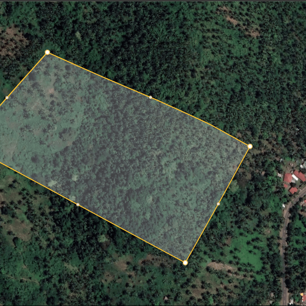 60000 sqm Agricultural Farm For Sale in Cabucgayan Biliran [Lot 🚜