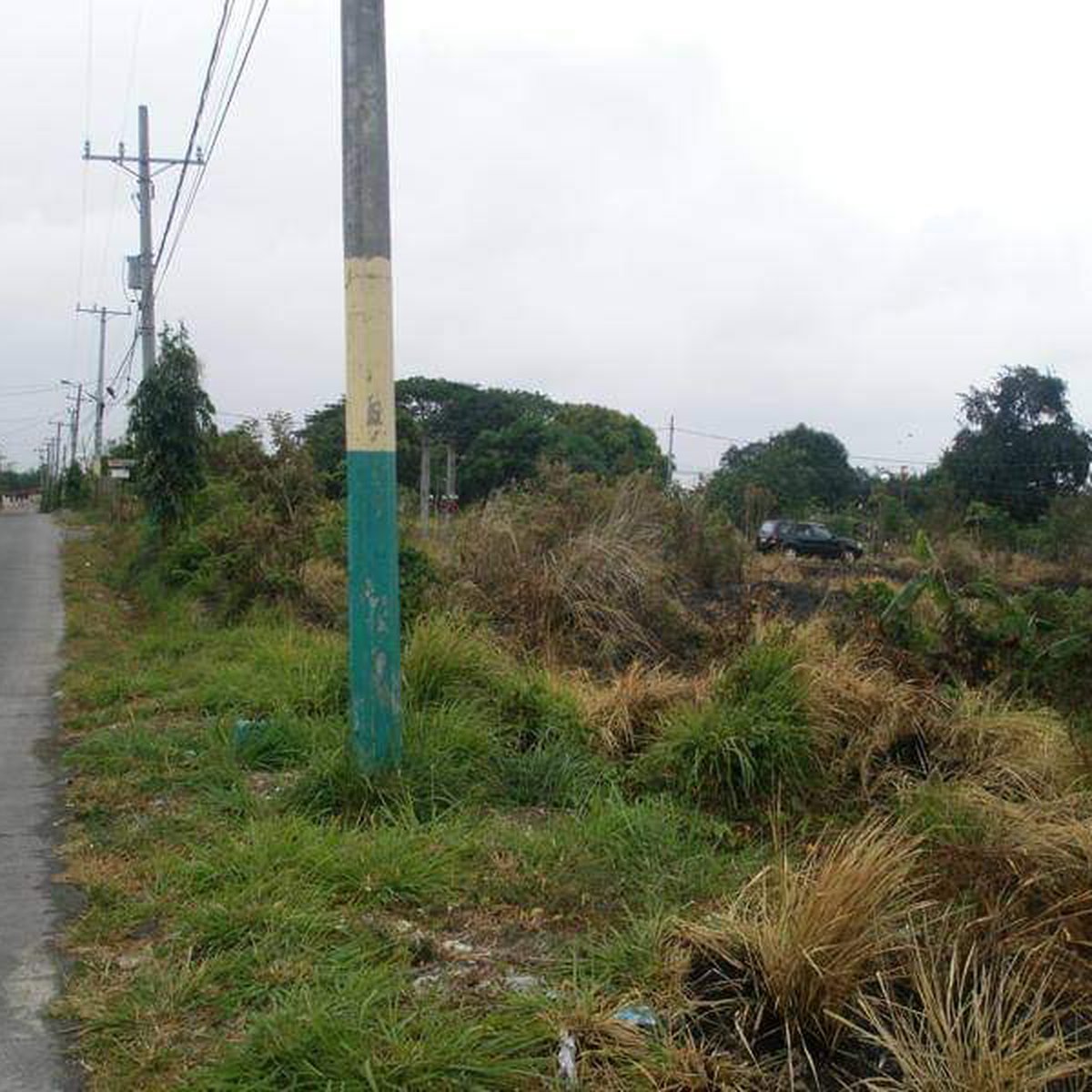 Rush! Lot For Sale Dasmarinas, Cavite (Amuntay Road) [Lot 🚜] (August