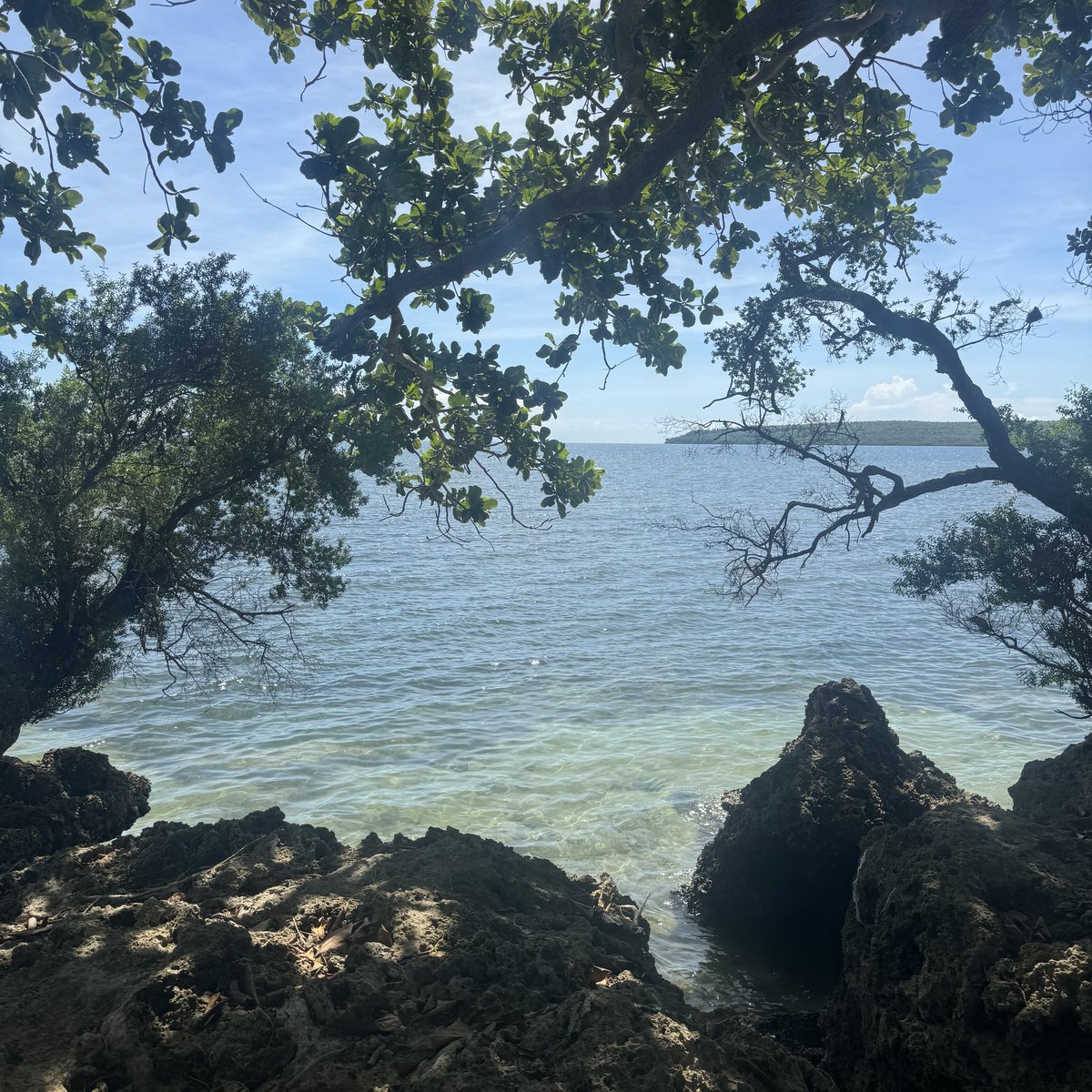 Beach front lot for sale [Beach Property 🏖️] (May 2024) in San Juan