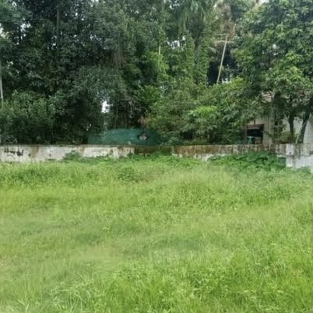 2,000 sqm Residential Farm For Sale in Sariaya Quezon [Lot 🚜] (January