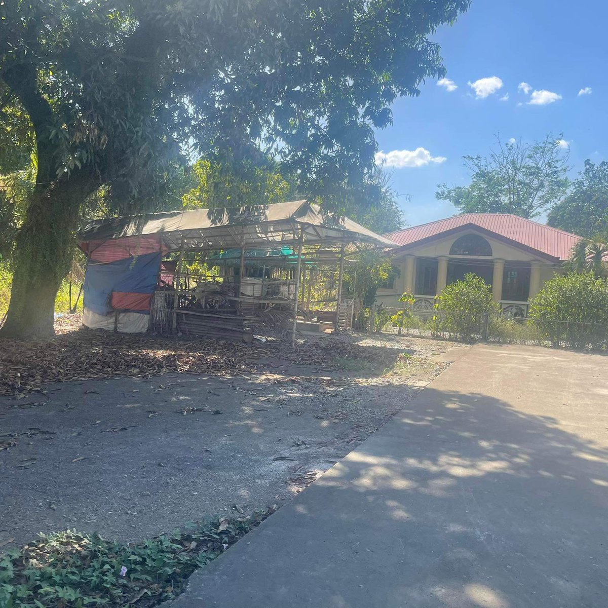 Bungalow house with total lot area of 2933 square meters [House and Lot