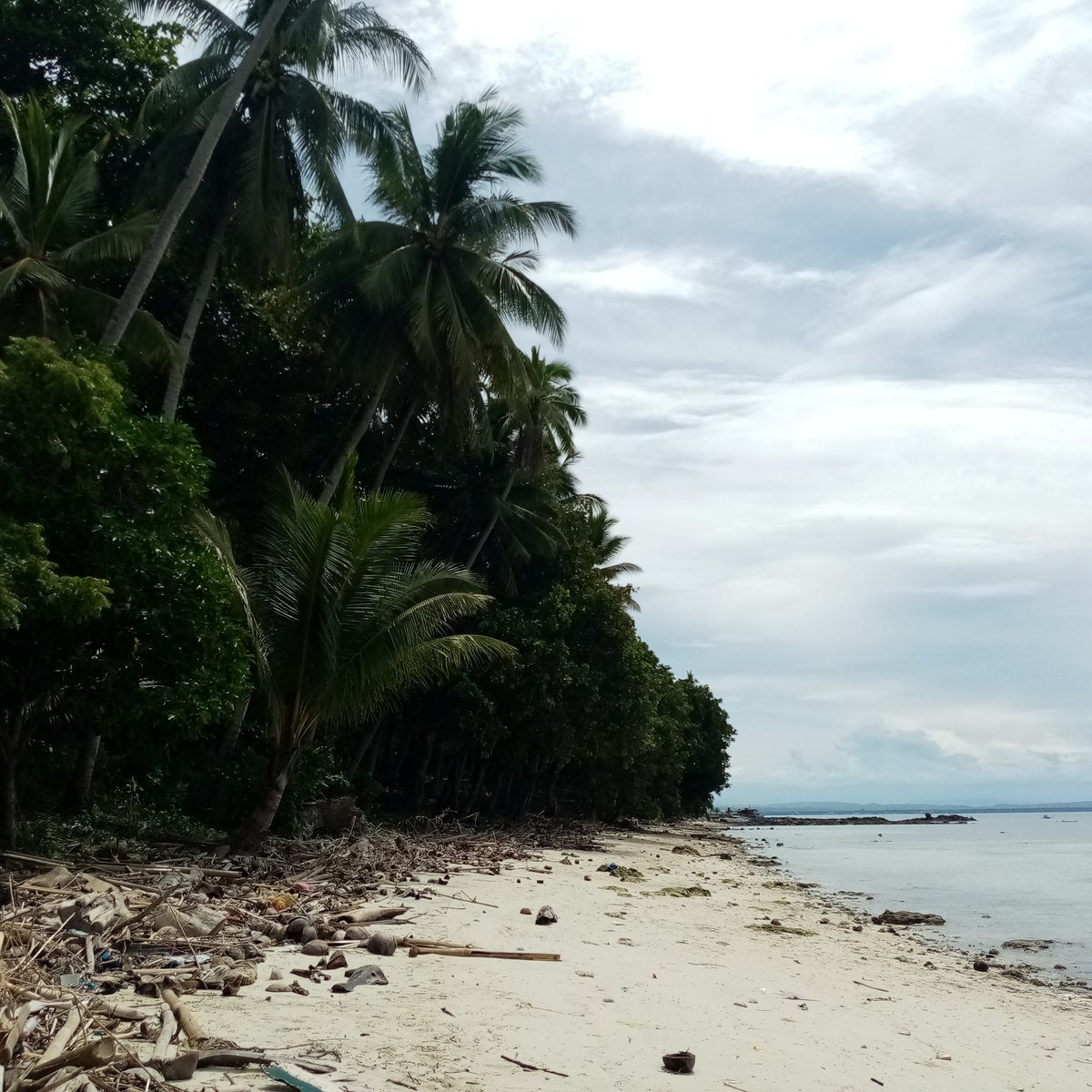 For Sale White Sands Beach Lot in Samal Island Davao [Beach Property 🏖️