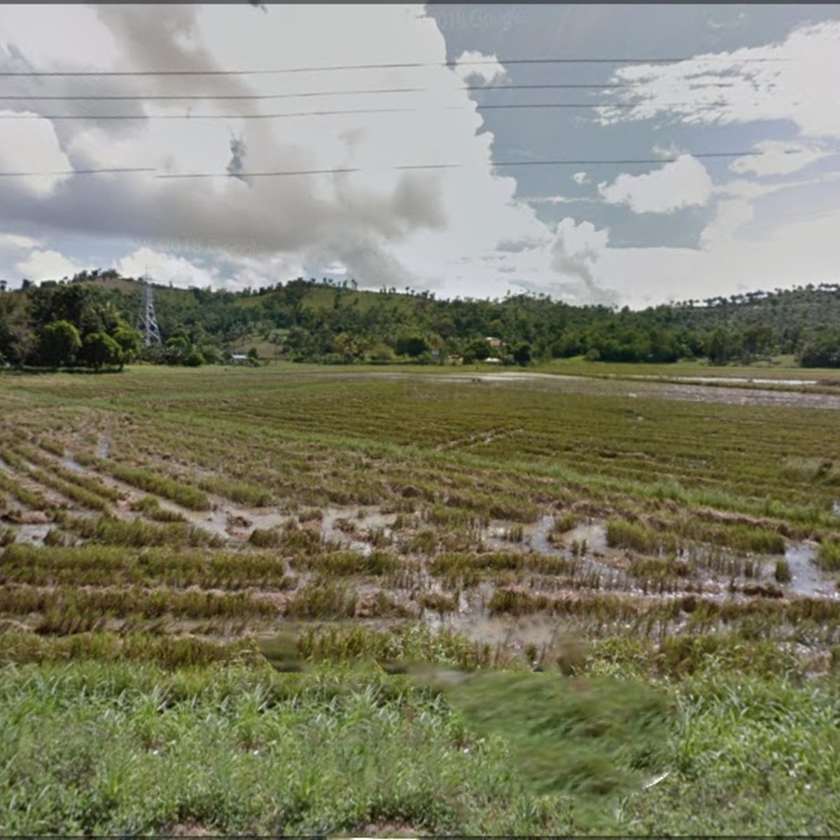 Residential Farm Land [Lot 🚜] (January 2022) in Concepcion, Iloilo for sale