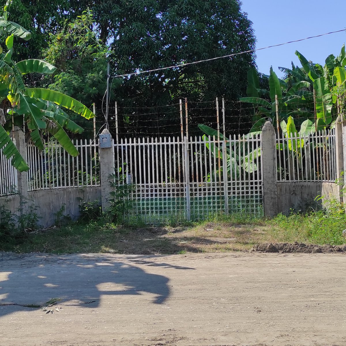1560 sqm Residential Farm For Sale in Mangaldan Pangasinan [Lot 🚜