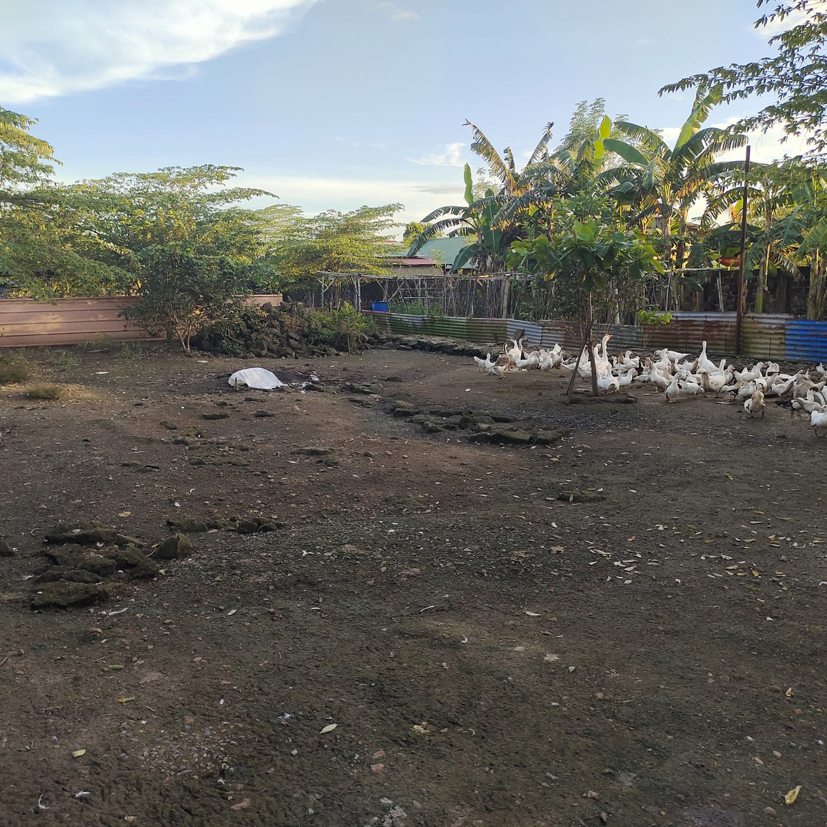 1275 sqm Residential Farm For Sale in Santa Maria Bulacan [Lot 🚜