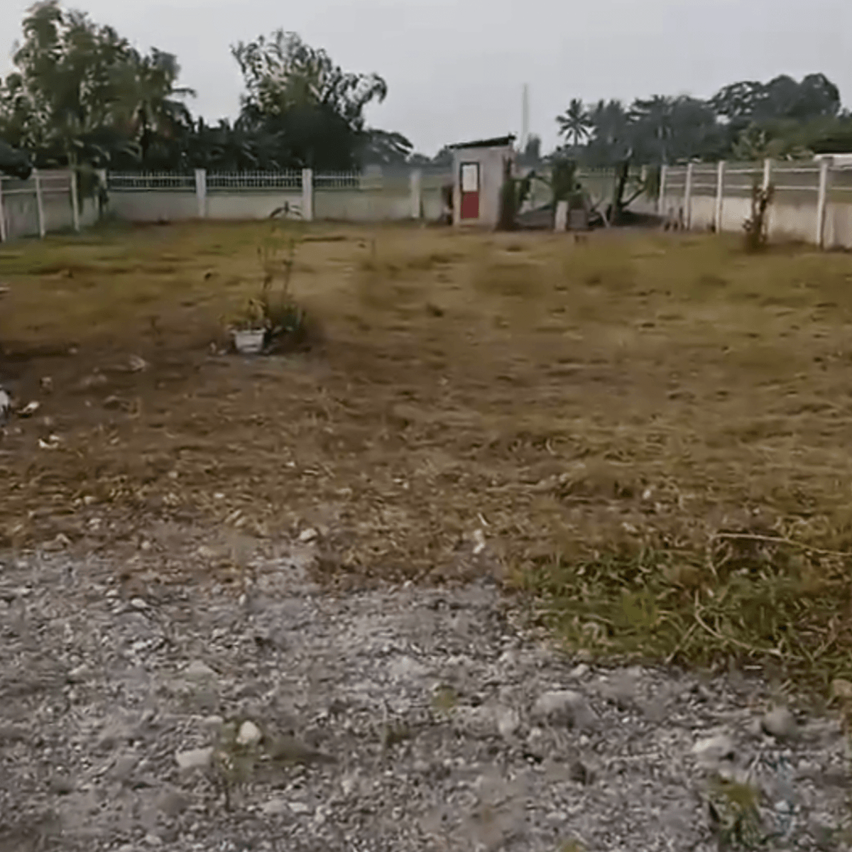 1500 sqm Residential Farm For Sale in Pandi Bulacan [Lot 🚜] (May 2024