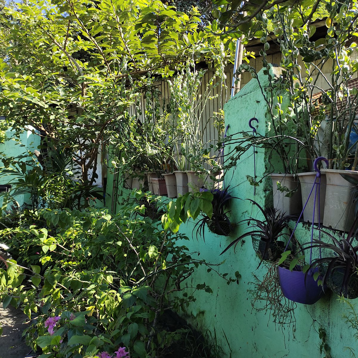 183 sqm Residential Lot For Sale [Lot 🚜] (December 2022) in Santa Maria