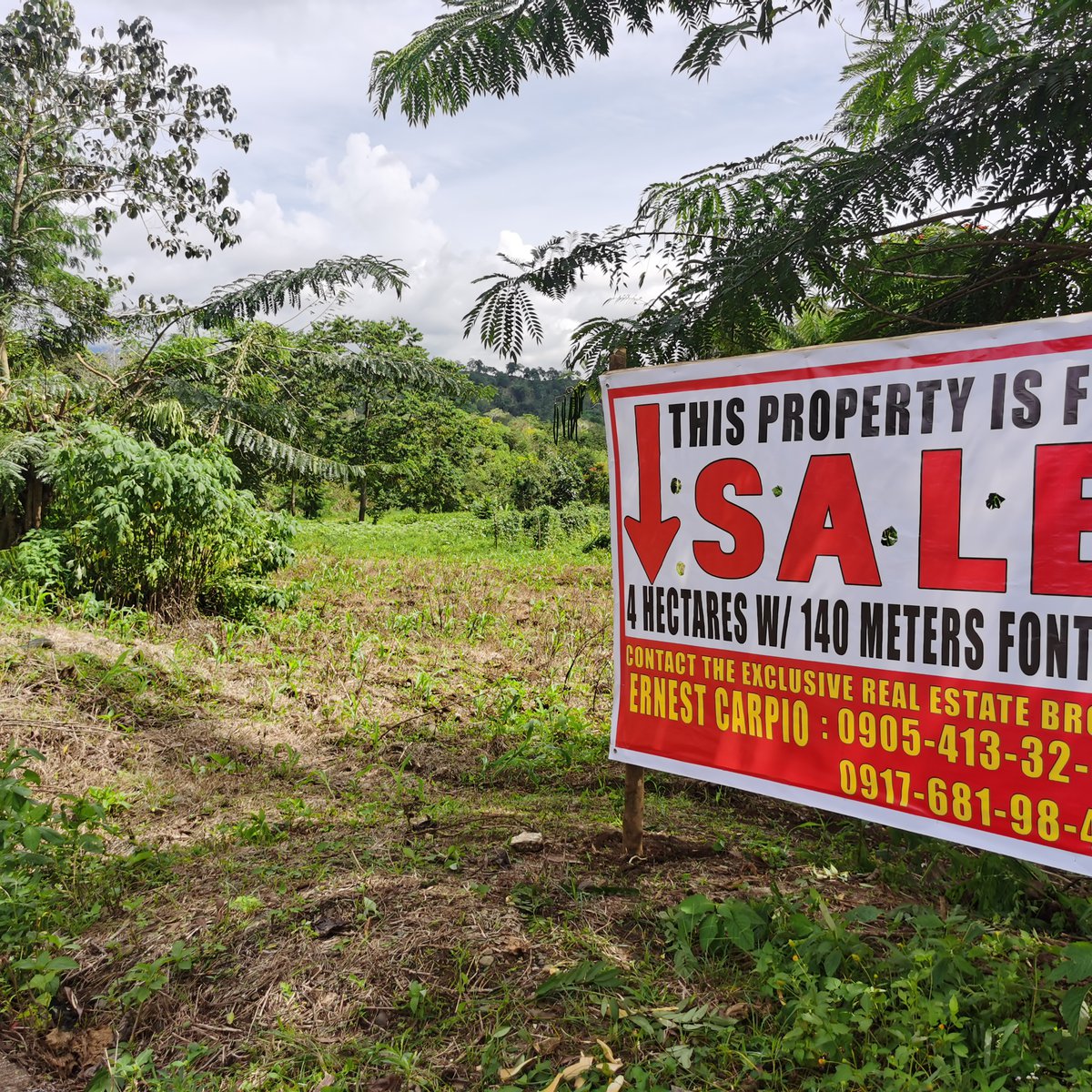 Ideal for Event Center or Subdivision Development. [Lot 🚜] (September