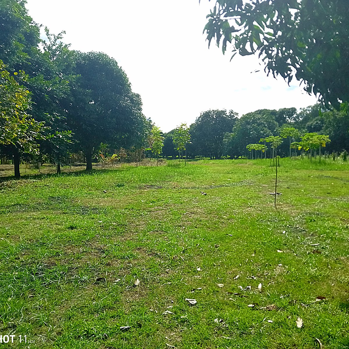 Minimum 200 sqm Residential Farm Lot For Sale in Lubao, Pampanga [Lot 🚜