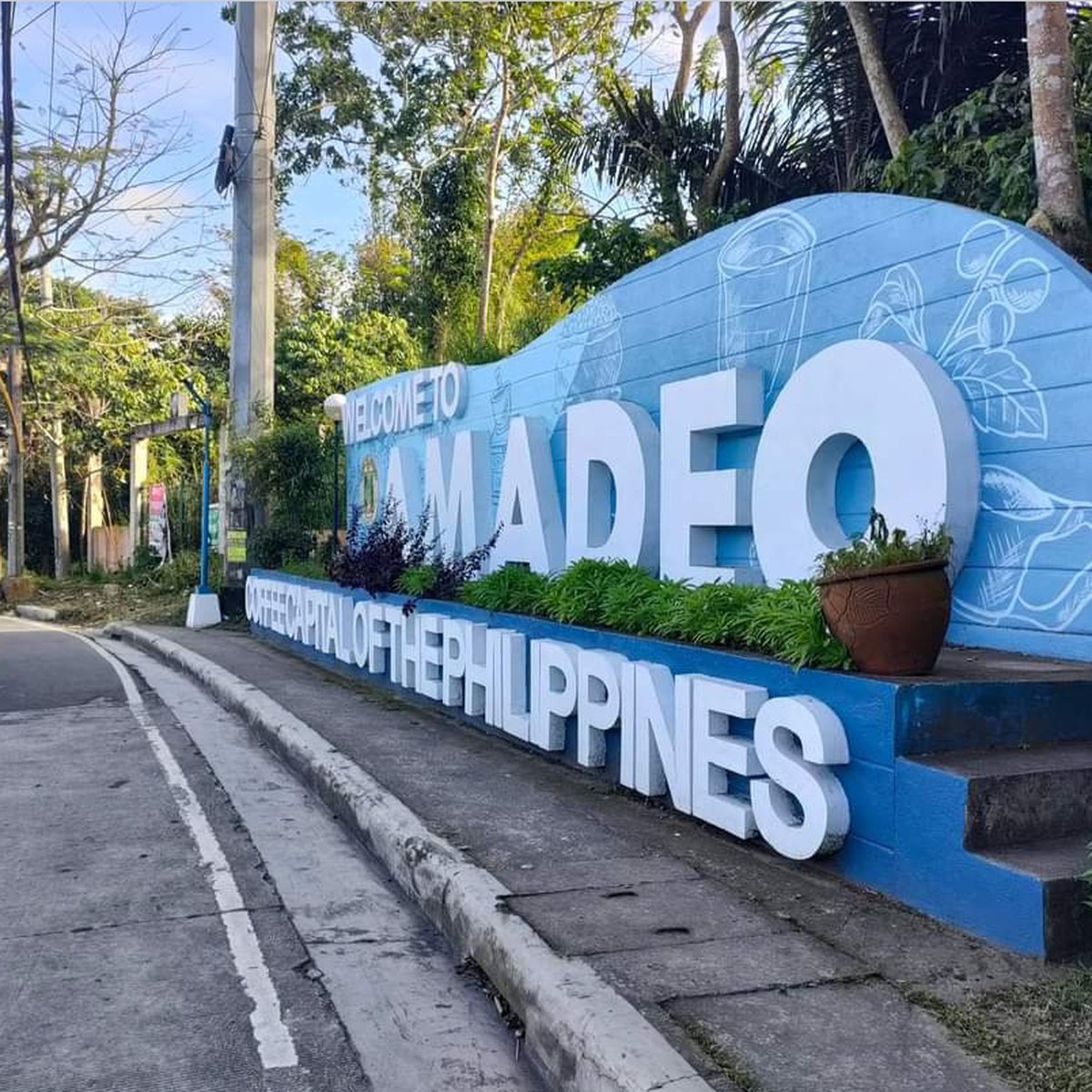 Sudivided Residential Lot for Sale in Amadeo Cavite [Lot 🚜] (February