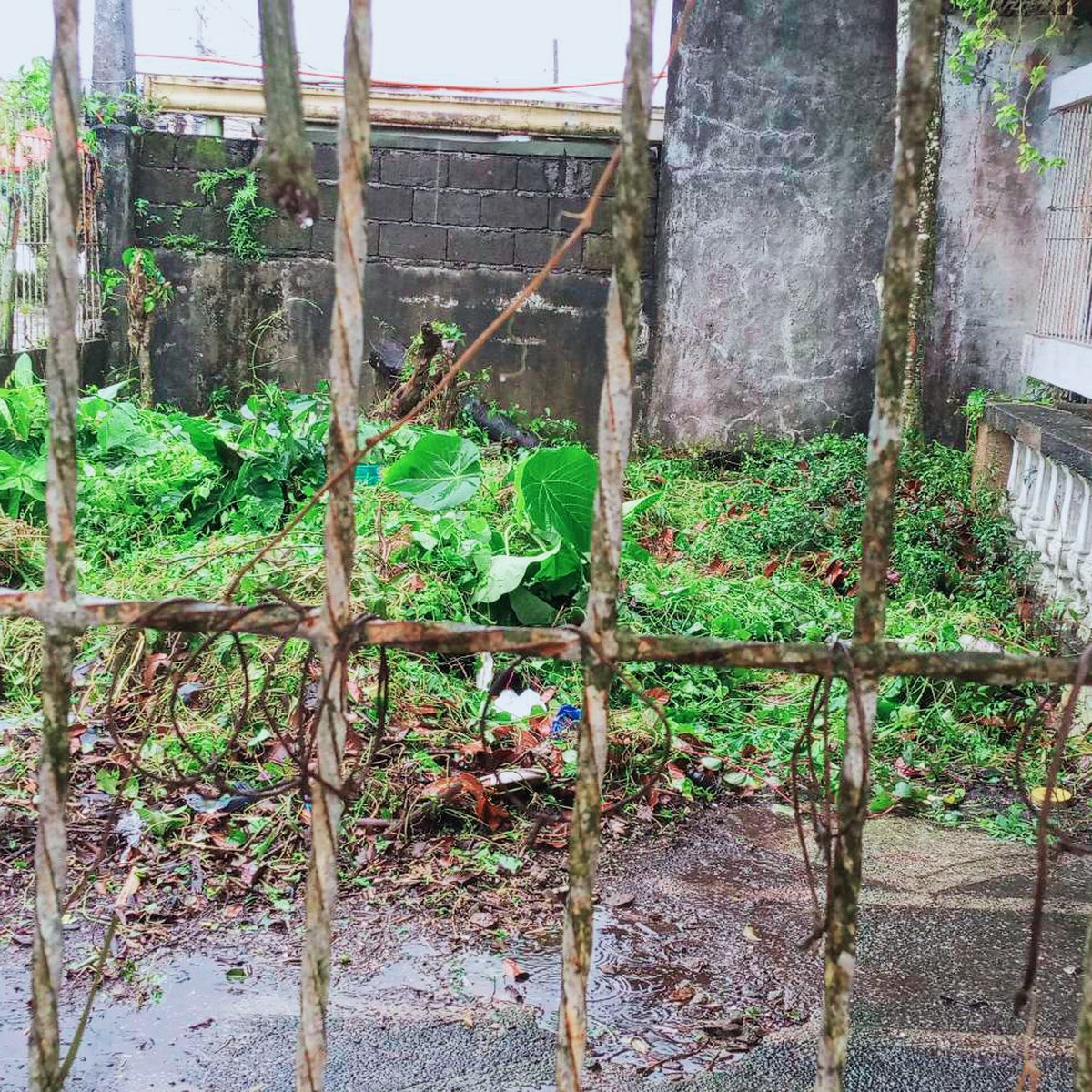 240 sqm Residential Lot For Sale in Naga City [Lot 🚜] (May 2023) in