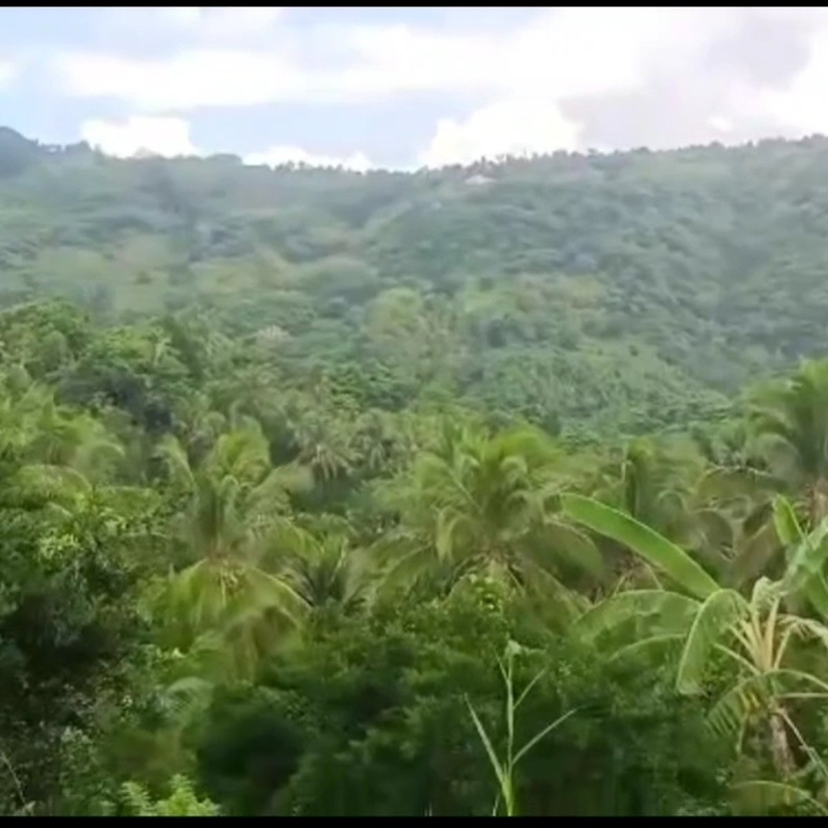 13 Hectares Lot for Sale in Sta. Maria Laguna [Lot 🚜] (October 2023) in