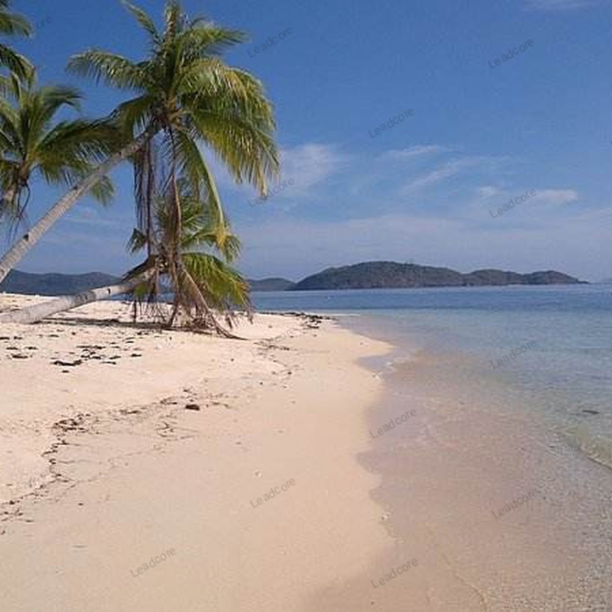 An Island Resort For Sale in Linapacan Palawan [Beach Property 🏖️
