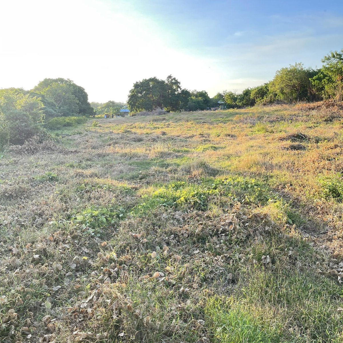 3,000 sqm Raw Land For Sale in Calatagan Batangas [Lot 🚜] (February