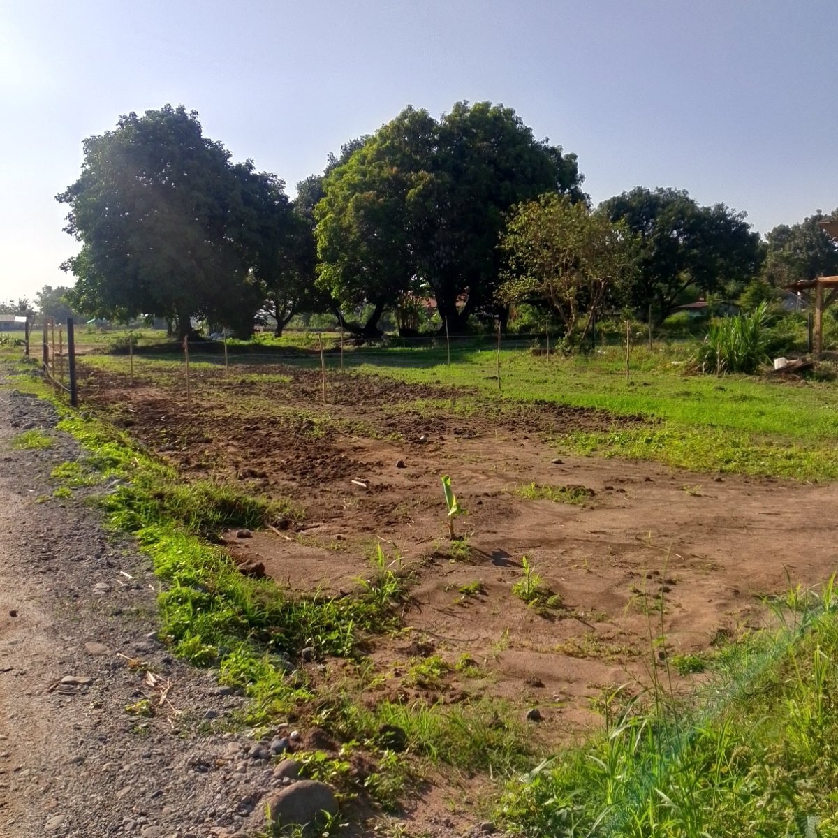 200 sqm Residential Lot For Sale in Floridablanca Pampanga [Lot 🚜
