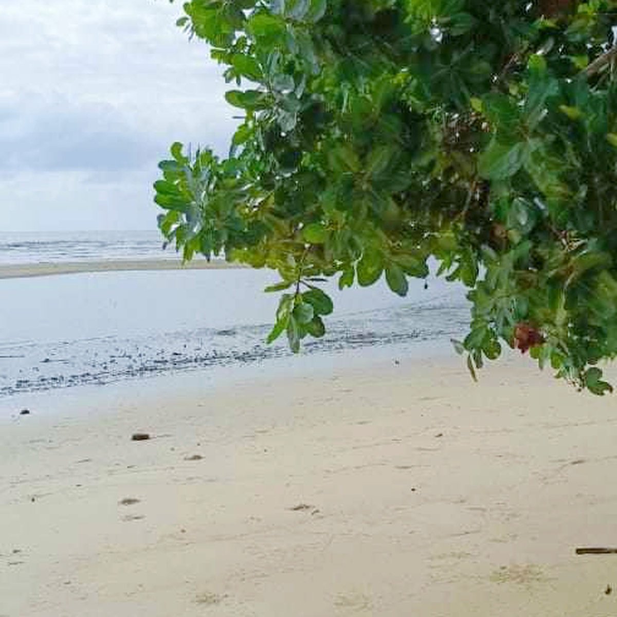 3.9 hectares Beach Property For Sale in Bataraza, Palawan [Beach ...