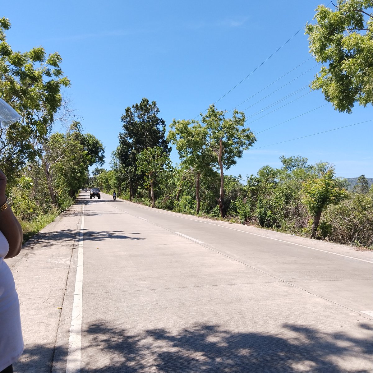 2 hectares lot for sale in Camotes Island , along national highway [Lot